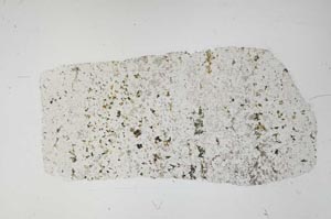 Plane Polarized, S59224