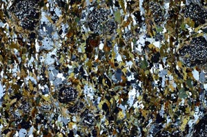 Cross Polarized, S59226