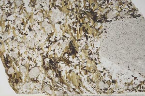 Plane Polarized, S59229