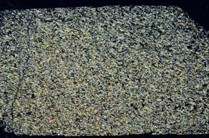 Cross Polarized, S59233
