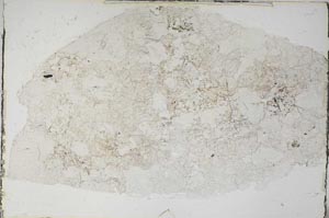 Plane Polarized, S59236