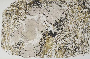 Plane Polarized, S59238