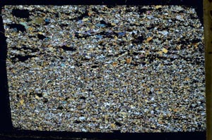 Cross Polarized, S59251
