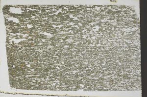 Plane Polarized, S59251