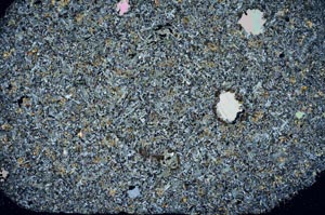 Cross Polarized, S59256