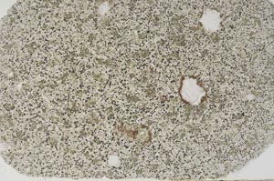 Plane Polarized, S59256