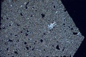 Cross Polarized, S59289