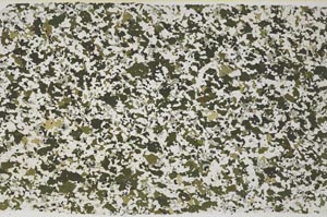 Plane Polarized, S59301