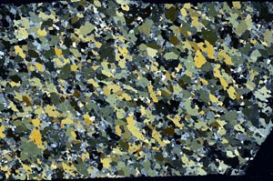 Cross Polarized, S59302