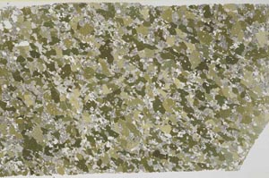 Plane Polarized, S59302