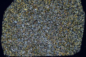 Cross Polarized, S59304