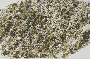 Plane Polarized, S59308