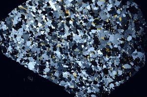 Cross Polarized, S59312