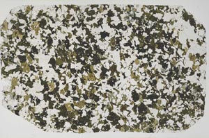 Plane Polarized, S59320