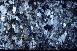 Cross Polarized, S59326