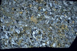 Cross Polarized, S59328