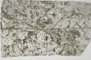 Plane Polarized, S59328