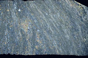 Cross Polarized, S59329