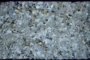 Cross Polarized, S59330