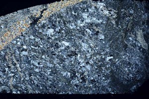 Cross Polarized, S59332