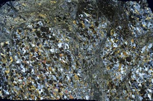 Cross Polarized, S59333