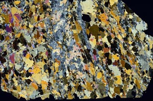 Cross Polarized, S59334