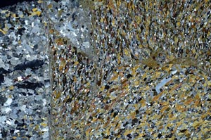 Cross Polarized, S59336