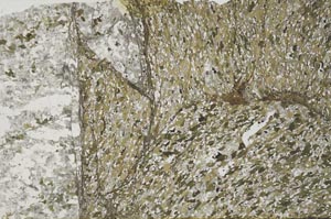 Plane Polarized, S59336