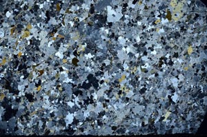 Cross Polarized, S59337