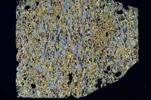 Cross Polarized, S59357