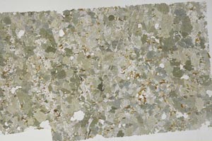 Plane Polarized, S59361
