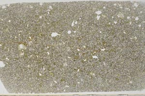 Plane Polarized, S59364