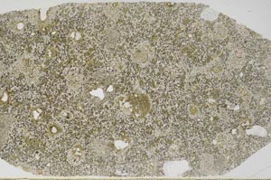 Plane Polarized, S59367