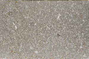 Plane Polarized, S59372