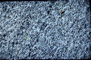 Cross Polarized, S59373