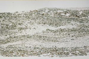 Plane Polarized, S59381