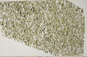 Plane Polarized, S59382