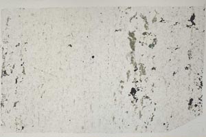 Plane Polarized, S59385