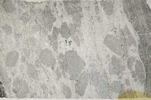 Plane Polarized, S59396