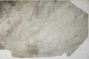 Plane Polarized, S59397