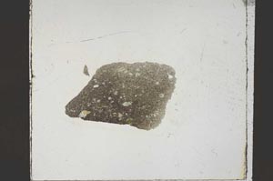 Plane Polarized, S59398