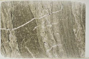 Plane Polarized, S59408