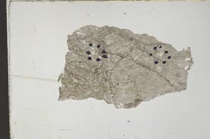 Plane Polarized, S59418