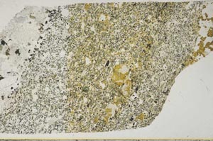 Plane Polarized, S59419