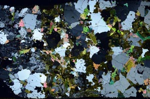 Cross Polarized, S59420