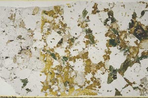 Plane Polarized, S59420