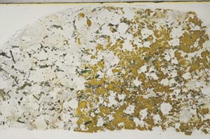 Plane Polarized, S59423