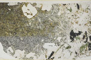 Plane Polarized, S59424