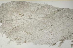 Plane Polarized, S59437