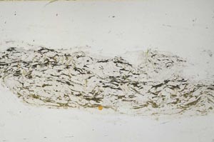 Plane Polarized, S59439